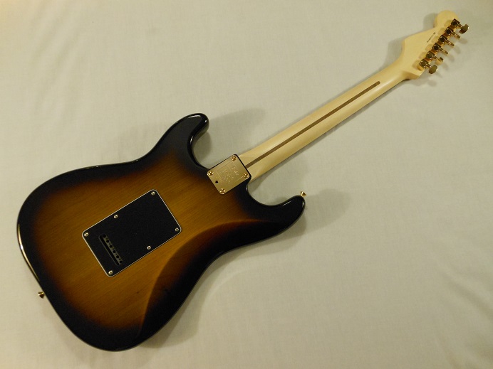 Mod Shop Stratocaster Picture 2